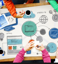 Online Marketing Shark