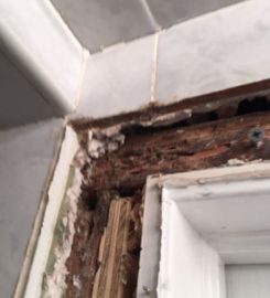 Termite Control Toronto
