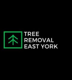 Tree Removal East York