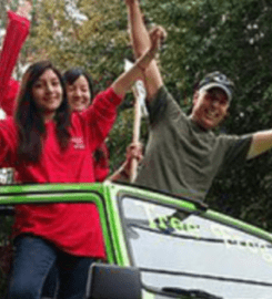 Tree Services Alpharetta