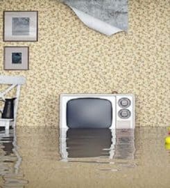 Elite Water Damage Las Vegas