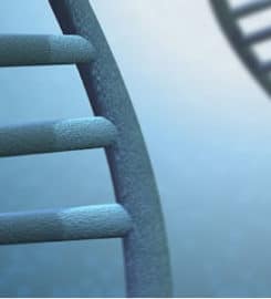 Test Me DNA