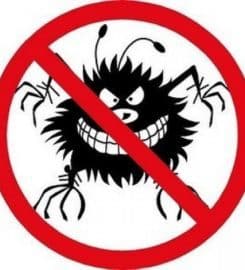 OCP Bed Bug Exterminator Detroit MI – Bed Bug Removal