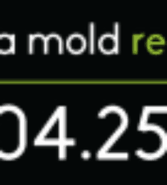 RVA Mold Remediation