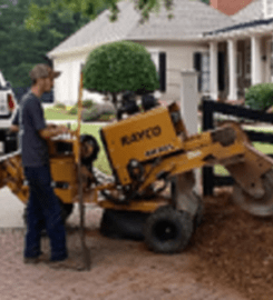 Tree Services Alpharetta