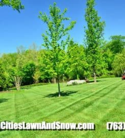 Twin Cities Lawn and Snow