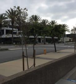Bail Bonds Pasadena