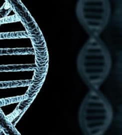 Test Me DNA