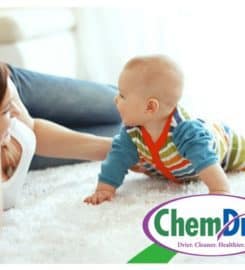 Champion Chem-Dry