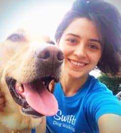 Swifto Dog Walking