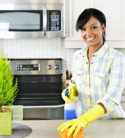 House Cleaning Services of Ann Arbor