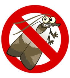 OCP Bed Bug Exterminator Denver CO – Bed Bug Removal