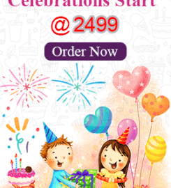 Surprise Party Celebrations