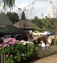Bourne Vale Stables LLP