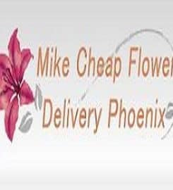 Same Day Flower Delivery Phoenix AZ – Send Flowers