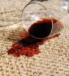 Carpet Cleaning Sandy Springs