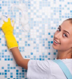 House Cleaning Services of Ann Arbor