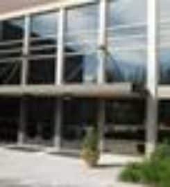 Escondido Window Tinting Pros