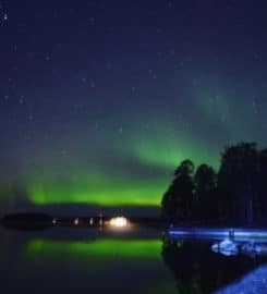 Wild About Lapland