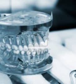 May Dental