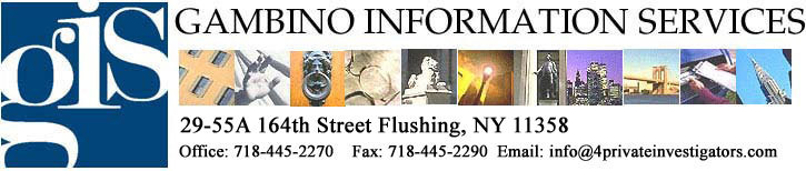 Gambino Information Services