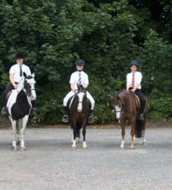 Bourne Vale Stables LLP