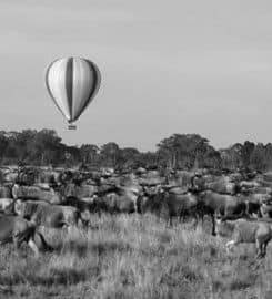 Eastern Vacations Tours