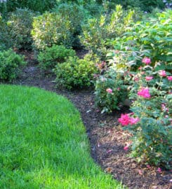 Best Landscapers Perrysburg Ohio