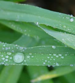 Best Landscapers Perrysburg Ohio