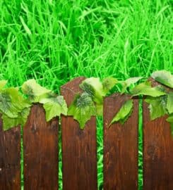 Lawton Fence Service