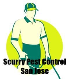 Scurry Pest Control San Jose
