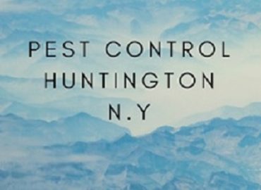 Pest Control Huntngton NY