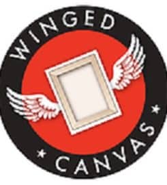 Winged Canvas