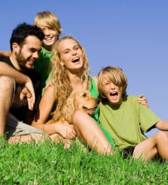 The Vine Group