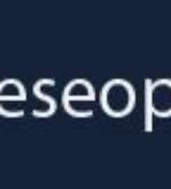 San Jose SEO Company
