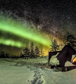 Wild About Lapland