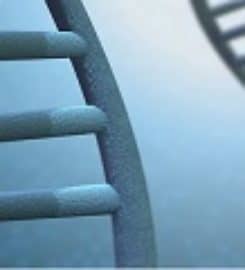 Test Me DNA