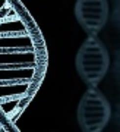 Test Me DNA
