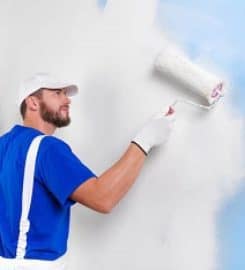 The Asheville Painter