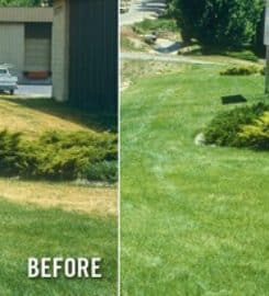 Rock Hill Lawn Pros