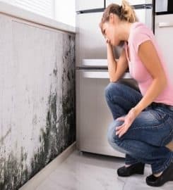 Water Damage Company Restoration  Pros West Palm Beach