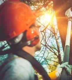 Pflugerville Tree Service and Removal