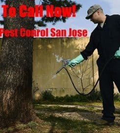 Scurry Pest Control San Jose