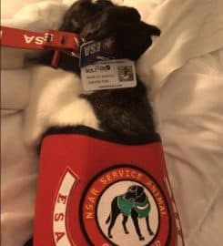 National Service Animal Registry