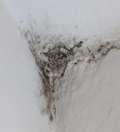 Water Damage Company Restoration  Pros West Palm Beach