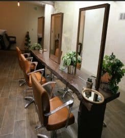 Cult and Bloom Salon