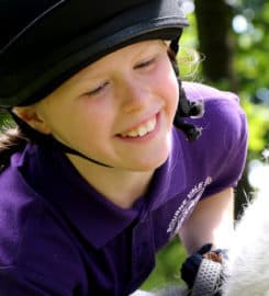 Bourne Vale Stables LLP
