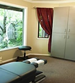 de Wet Chiropractic