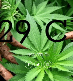 Gen 1:29 CBD Oil