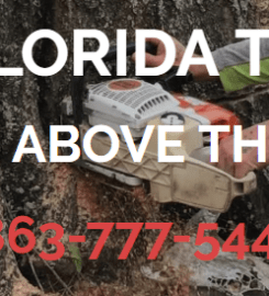 Central Florida Tree & Land